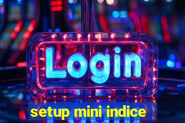 setup mini indice